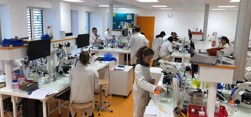 laboratoire-lycee-notre-dame-le-mans