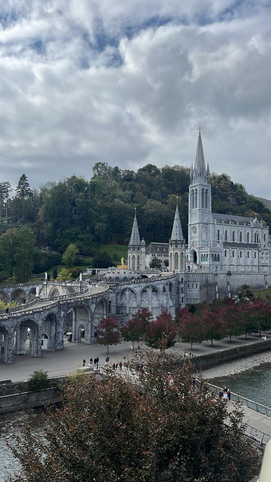 dd6f883b-cef9-4f51-baa6-b7782505e601